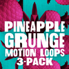 Pineapple Grunge Blue Pink Loops 3-Pack