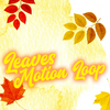 Leaves Falling Motion Loop